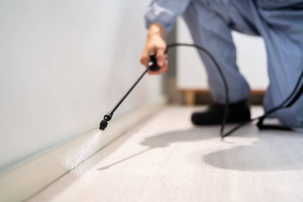 Licensed Termite Control service in Litchfield, MI - Nex Pest Control