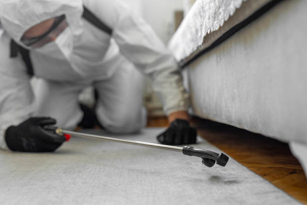 Professional Termite Control technician working in Litchfield, MI