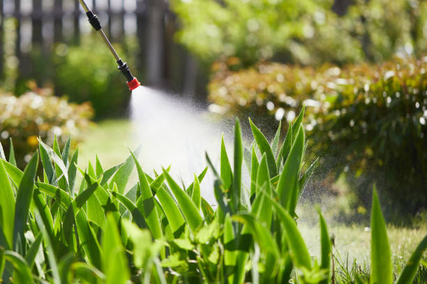 24/7 Emergency Termite Control experts in Litchfield, MI