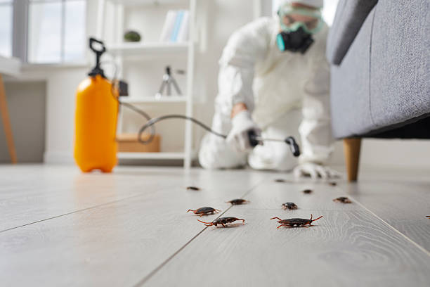 Affordable Termite Control solutions in Litchfield, MI