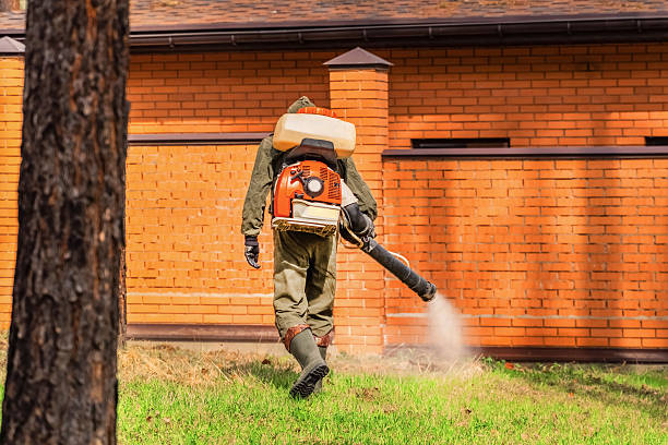 Top rated local Termite Control specialists in Litchfield, MI